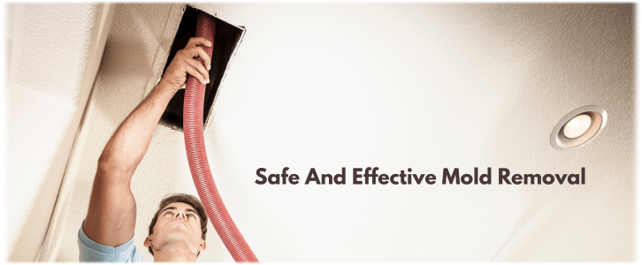 Air Duct Mold Removal in Boston MA
