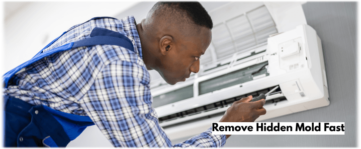 HVAC Mold Removal Boston MA